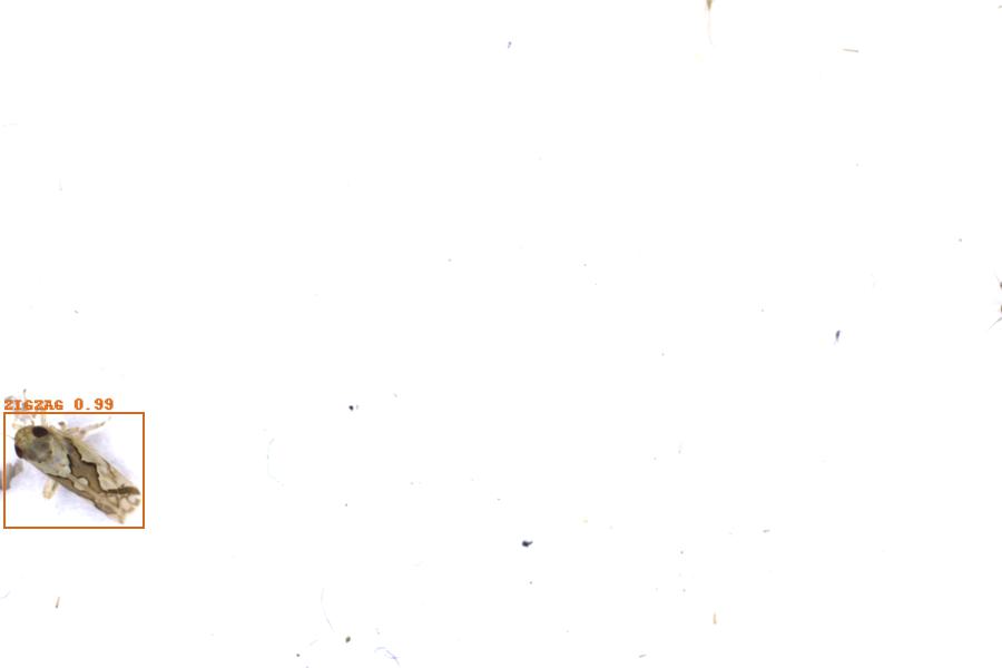 Image 9